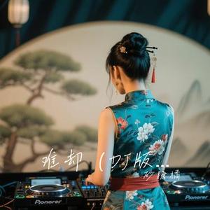 难却 (DJ版)