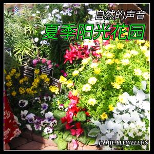 自然的声音: 夏季阳光花园
