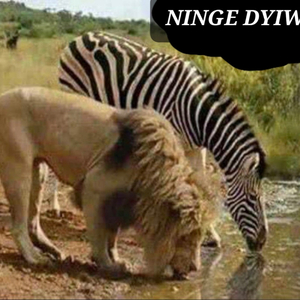 Ninge Dyiwi (feat. Surprise Bee & Skoroza The Magical)