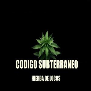 Mujer De Ensueño (feat. Kraneo La Oveja Negra)