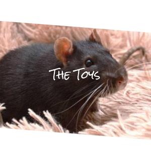 The Toys