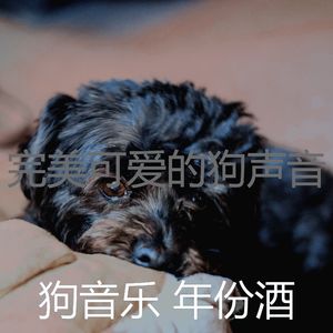 温和幼犬梦想