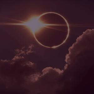 SHOOT THEM BUSTAZ (feat. camo mane)