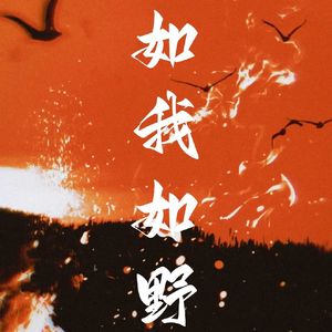 如我如野