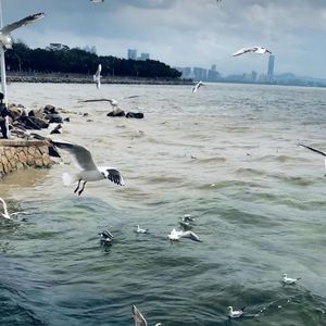 我的美丽feat海洋Bo