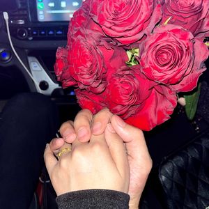 NINAO-GIMS(现场版）