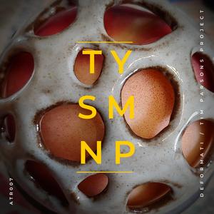 Thank You So Much No Problem (feat. Tim Parsons Project)