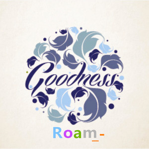 Shakedown (rOam_- Remix) - remix