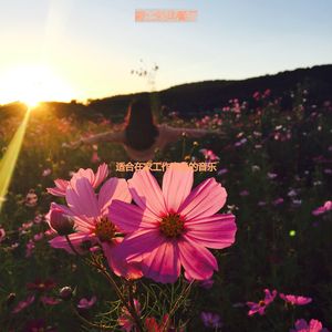 适合正在学习安静的音乐