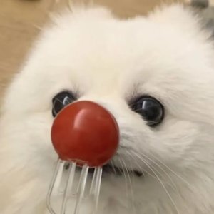 1_旧书里的时光.wav