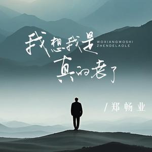 我想我是真的老了