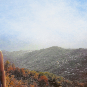 Du ringer til mig senere