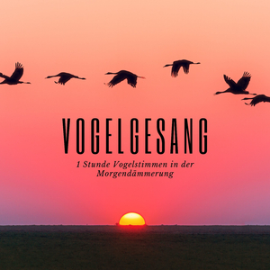 Vogelgesang
