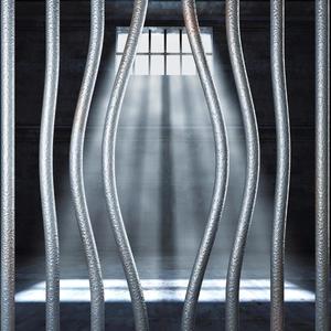 Beautiful Prison (feat. Branchey)