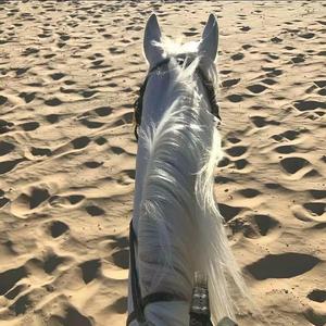 Tones and I-Dance Monkey（Obsession remix）