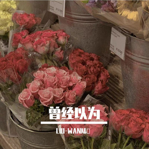 曾经以为（Prod by BECU BEATZ）