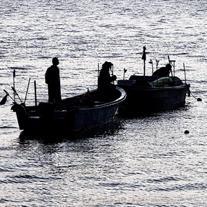 爱而不得的孤独