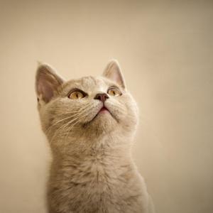 用最初的心，陪你走最远的路