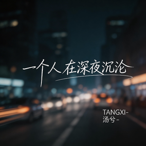 一个人 在深夜沉沦（抒情版）