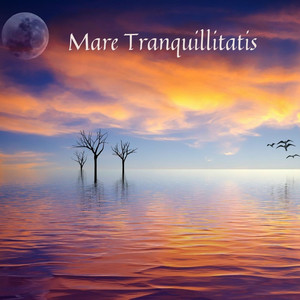 Mare Tranquillitatis