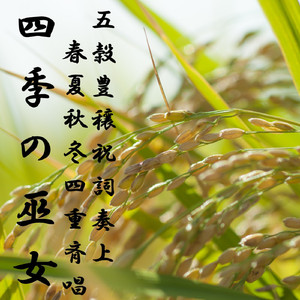 四季の巫女～五穀豊穣祝詞奏上春夏秋冬四重斉唱～【feat.初音ミク＆鏡音リン＆ 巡音ルカ＆MEIKO】