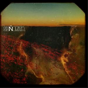 Señorita (feat. David $iLK)