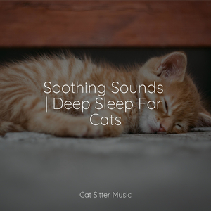 Ambient Soundscape for Sleep