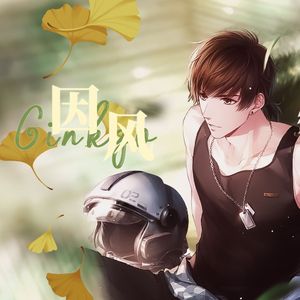Ginkgo·因风