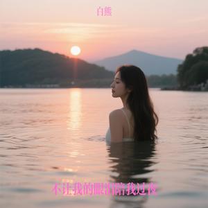 不让我的眼泪陪我过夜（白熊 Remix）