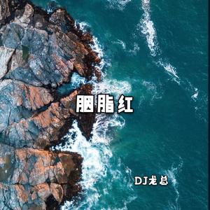 DJ龙总《一朵朵鲜花(DJ版)》