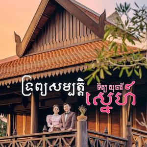 ទ្រព្យសម្បត្តិស្នេហ៍