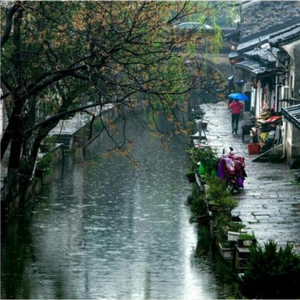 南方（Guitar Ver）（翻自 达达）