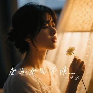春风春风不懂我 (Remix)