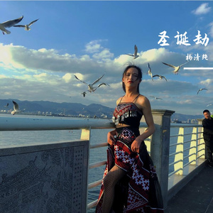 夜声带走最后一个我（伤感版）