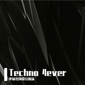 Techno 4ever
