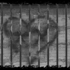 智慧树我好喜欢你啊