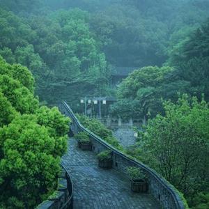 提拉米苏