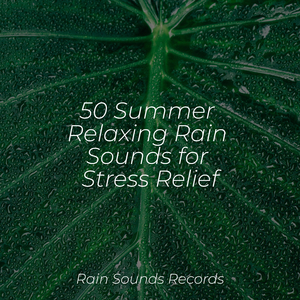 Whispering Petals at Dusk