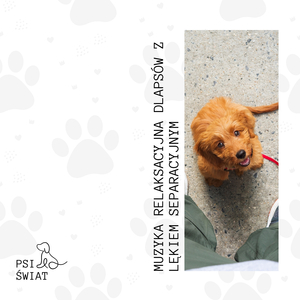 Szczenięce Zadumanie