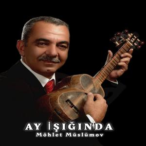 Ay işığında