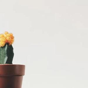 冥想音乐 往事如烟