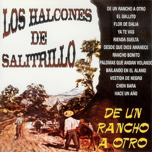 Palomas Que Andan Volando
