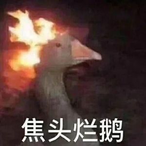 哲菌愁标