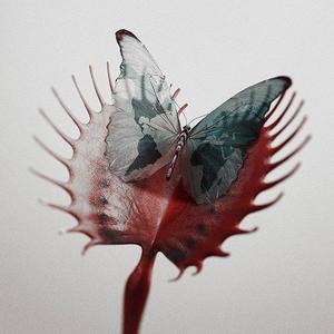 My Days（翻自 窦靖童）