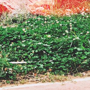 [Free]“Gloria” Guitar type beat