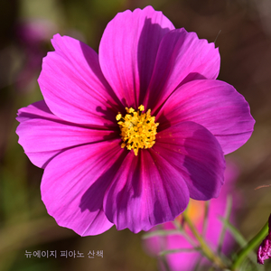 떠나