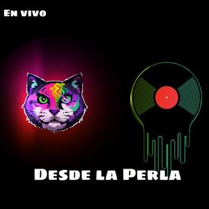 bienvenidos a guanatos (feat. fernando nh)