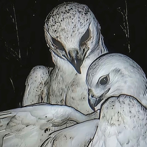 下载您的文件 — Convertio