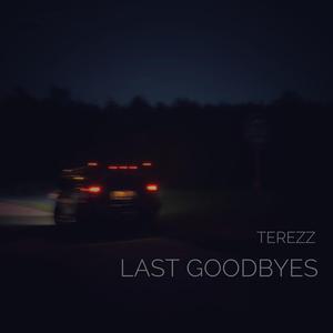 LAST GOODBYES