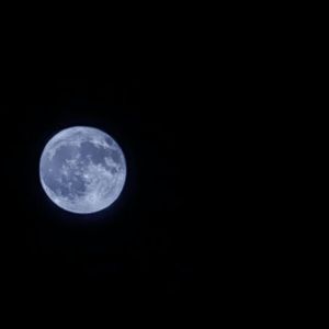 偏爱（prod_YvngRick)